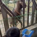 (주)연보람 우유