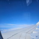 알라딘케밥 커리 | [이집트 튀르키예 여행] 부부 신혼 여행 후기 - 튀르키예 이스탄불