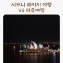 (주)동행브릿지 | 시드니 패키지 여행 vs 자유여행 | 10월 시드니 여자 혼자 내돈내산 여행 후기