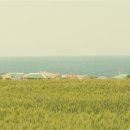 보리숍