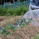 세원농장 이미지