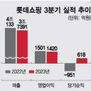 ﻿e커머스 업계도 '구조조정'…허리띠 조이는 유통공룡들 이미지