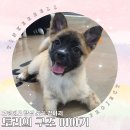 토리스토리 이미지