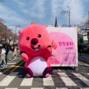 군항제 실시간 후기 벚꽃 개화 상황, 주차꿀팁, 먹거리 정보