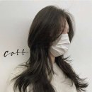 헤어살롱콧