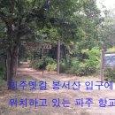신산삼거리 이미지