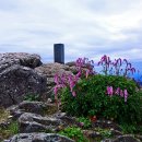 모래재민박 이미지