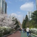 일산호수공원 이미지