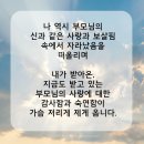 빛나는별이네
