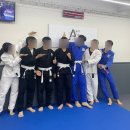 아트 주짓수 레슬링 | 목동주짓수 실력 좋은 아트주짓수 강서 다녀온 후기