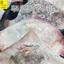 4월 22일, 국내산 홍어, 손질 가자미, 냉동(간재미, 참양태, 대고등어, 통치, 참돔, 참조기, 먹갈치, 붕장어, 죽상어,) 반건조 이미지