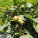 개암경로당 이미지