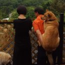 허그안리트릿 | 유기견입양후기) 체국이가 가족 대동하고 놀러왔어요 @허그안리트릿