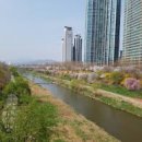 개포현대공인중개사사무소 이미지