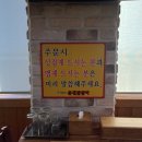 황가네춘천닭갈비 네이버블로그