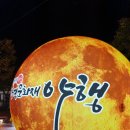 굴세상 강경점 | 논산 강경 맛집 굴세상 강경점 굴국밥전문점 굴전 굴순두부 후기