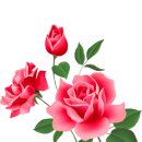 법륜 스님의 좋은글 이미지