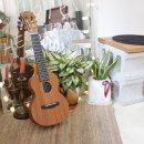 기타렐레(통기타) 이미지