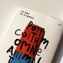 예스테라피