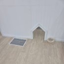 뽀송하댕 | 용인에서 기분 좋게 털단장! 뽀송하댕 방문 후기