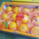 라봉라봉농수산