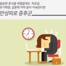 원피트니스 이미지