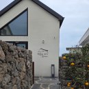 제주스테이 멀리 이미지