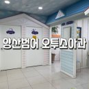 오투소아과