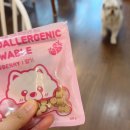 오복누리 | [댕댕이 간식 후기] 비토 - 오복누리 하이포알러제닉 비건 츄어블(딸기맛) 체험단