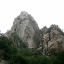공룡주유소 Daum카페