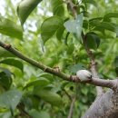 해오름농장-2 이미지