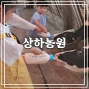 상하2통 | [고창 여행] 아이랑 갈만한 광주 근교 고창 상하농원 재방문 후기