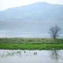 우포민박 | [경남/창녕] 우포늪 망한 출사 후기 2편, 주매제방을 찾아서