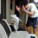 풍경-04 | [Ep.04스드메] 수원 스드메 브라이덜휘 계약 후기