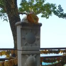 죽포(여) 이미지