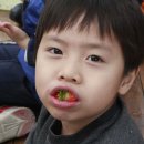 JMT 정무태권도장 이미지