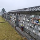 양평공설공원묘지 이미지