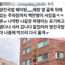 영진월드투어
