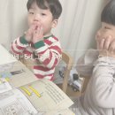 3세 5세 그림책 블루래빗 토끼책방 책육아 활용팁