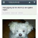엄마몰래라면