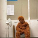 오늘도왁싱 이미지