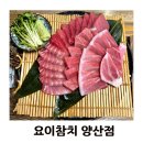 참좋은참치 | 양산 맛집 추천｜분위기 좋은 '요이참치 양산점' 눈 참다랑어 세트 솔직후기(숙성 참치)
