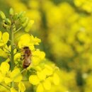 전통민요가락 이미지