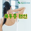 진정형외과의원 이미지