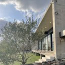 휴일의 아침 | 제주 서귀포 카페 휴일로 조금 실망한 솔직후기 내돈내산