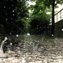 비오는날 사진 잘찍는 방법 이미지