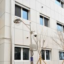 참샘초등학교 이미지