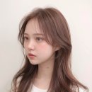 헤어 봄 네이버블로그