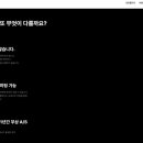 더라이선 네이버블로그