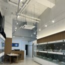 도레미캣 고양이분양 남양주 다산점 이미지